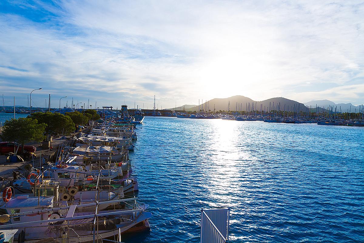 Puerto de Alcudia it is fantastic