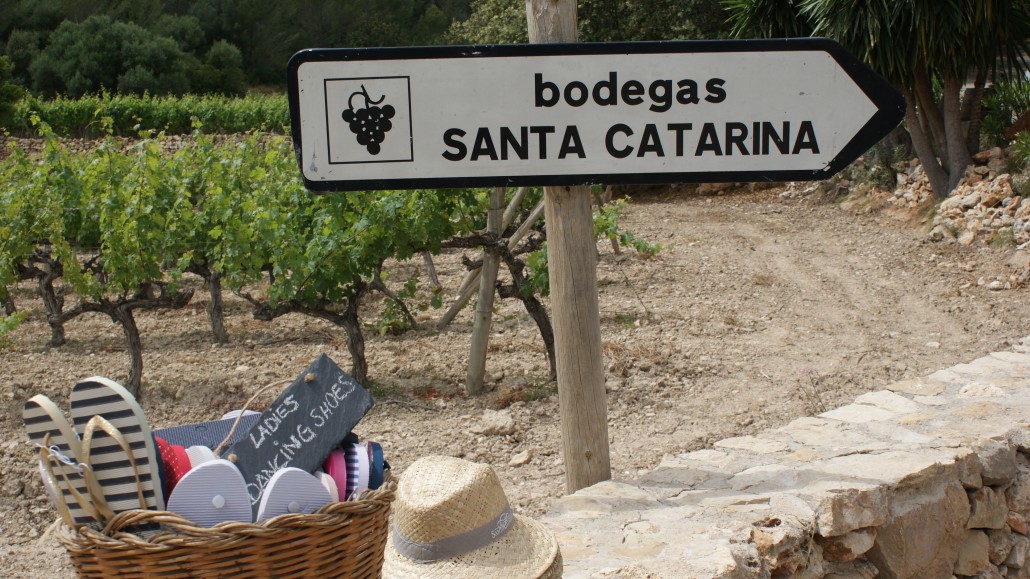 A winery and its special environment
