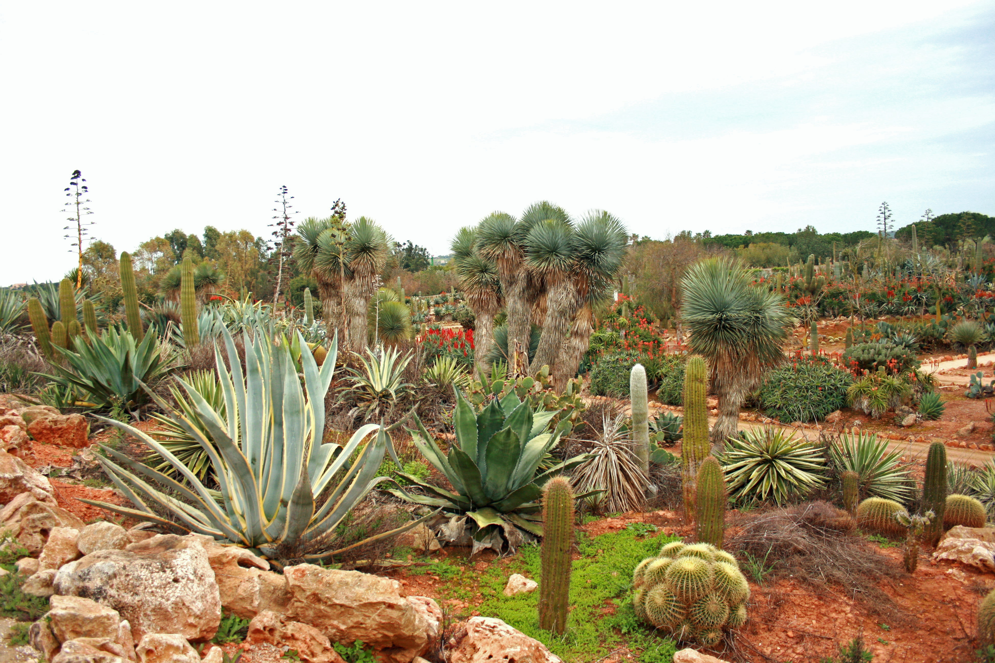 A wonderful, unique, botanical garden